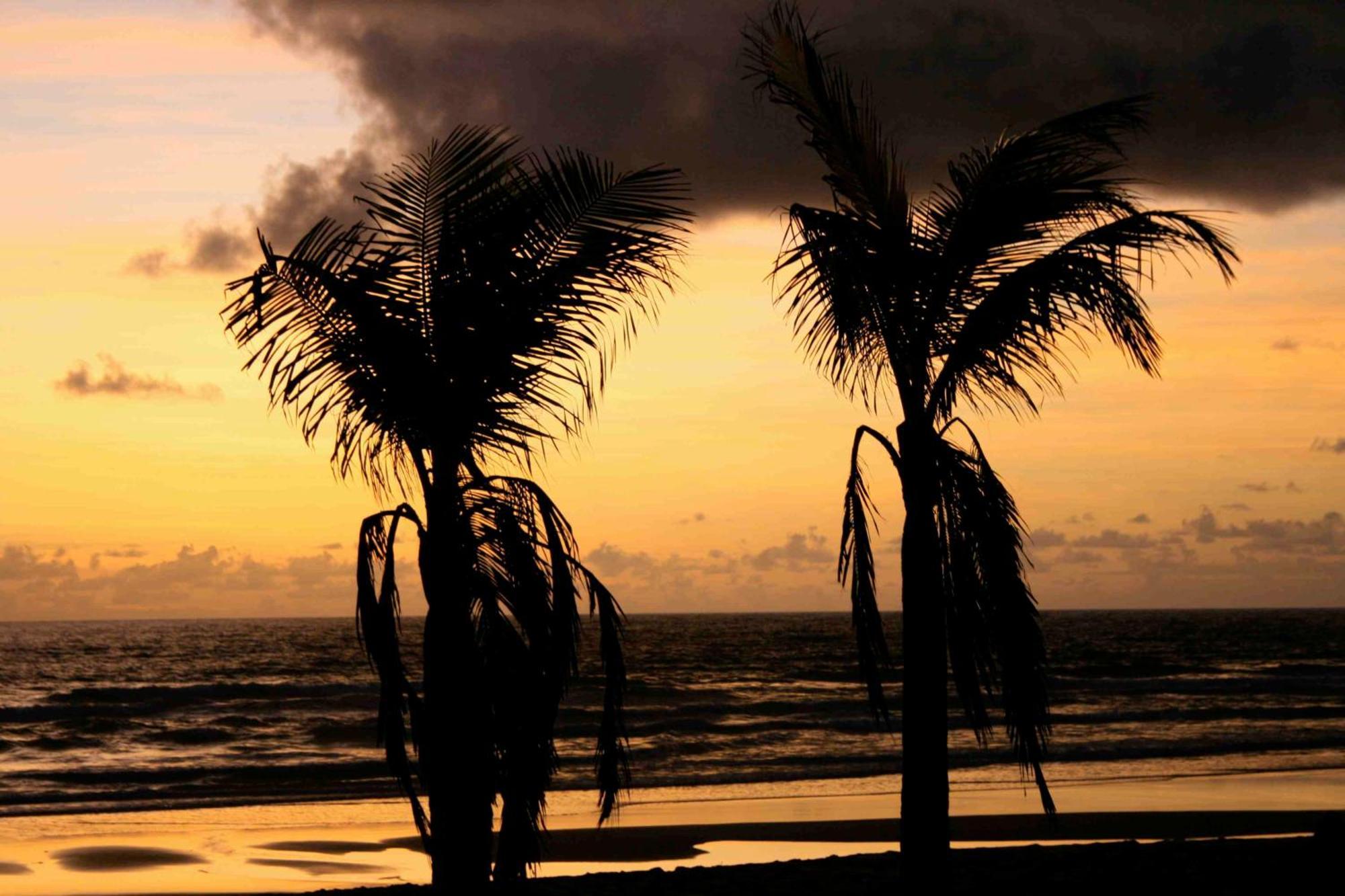 Dreamland Bungalows - Taipu De Fora - Barra Grande Exteriör bild